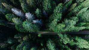 Photo by Geran de Klerk